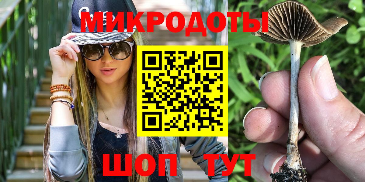 Псилоцибиновые грибы мухоморы  где купить наркотик  Армавир  Псилоцибиновые грибы Cubensis  Вход с VPN 